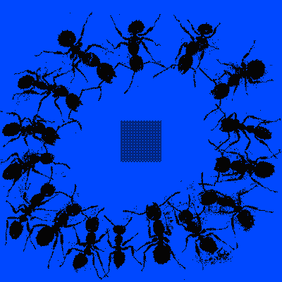 inscription 032e9cf9475eec7c9b560ac9d8aecc79d5686bf74a46e3c50bd694e2b4944e25i0