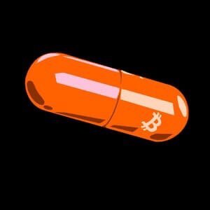 inscription 2079d36b0a168432c4563834aa844654025d21bc48504ee605beb17d72ed8704i0