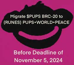 inscription 23b110d0cf8c188bf593dccdc5d736737f6e00fc7b034e7d5cb006e794187024i403