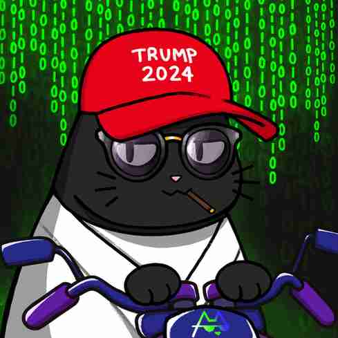 inscription 343d69ba92a4d1c5c822369b5a4c3004c8a25279728c5b61d854ffdae2d27fbdi6