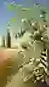inscription 668fe964f3e4f647001c17cf3d5ed312d8eef11ee725f4bb63ecc48bcb676664i2