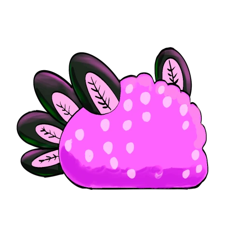 inscription 8acc36585e3225e7a13994ae6fb3a263bcf2cb8dde92cda5624c37d0dc184fe2i10