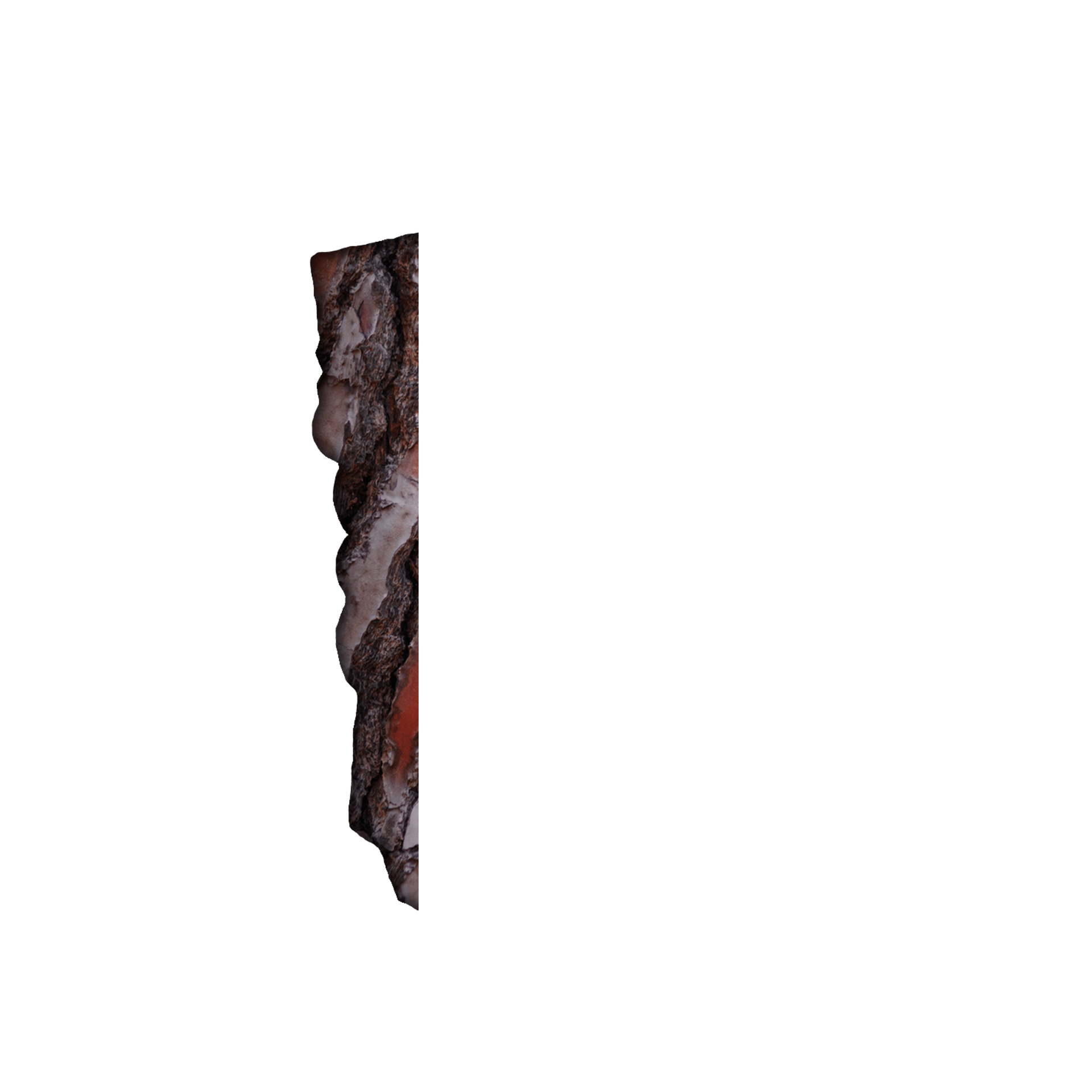 inscription 8e581b4ae272a1aec51d2d5755868ef9a30dcc89c21e0e598d76f7116831c007i1