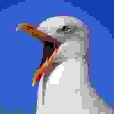 inscription 96419f3f2bd309423442dccb8e28c18f09dd42c48663793066c60a41d71bb3d4i0