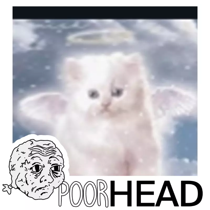 inscription a77eea98d356b942c6c6e8a3b1b3f228d9ca8a20c244eebf0a3957a2d9c47d93i0