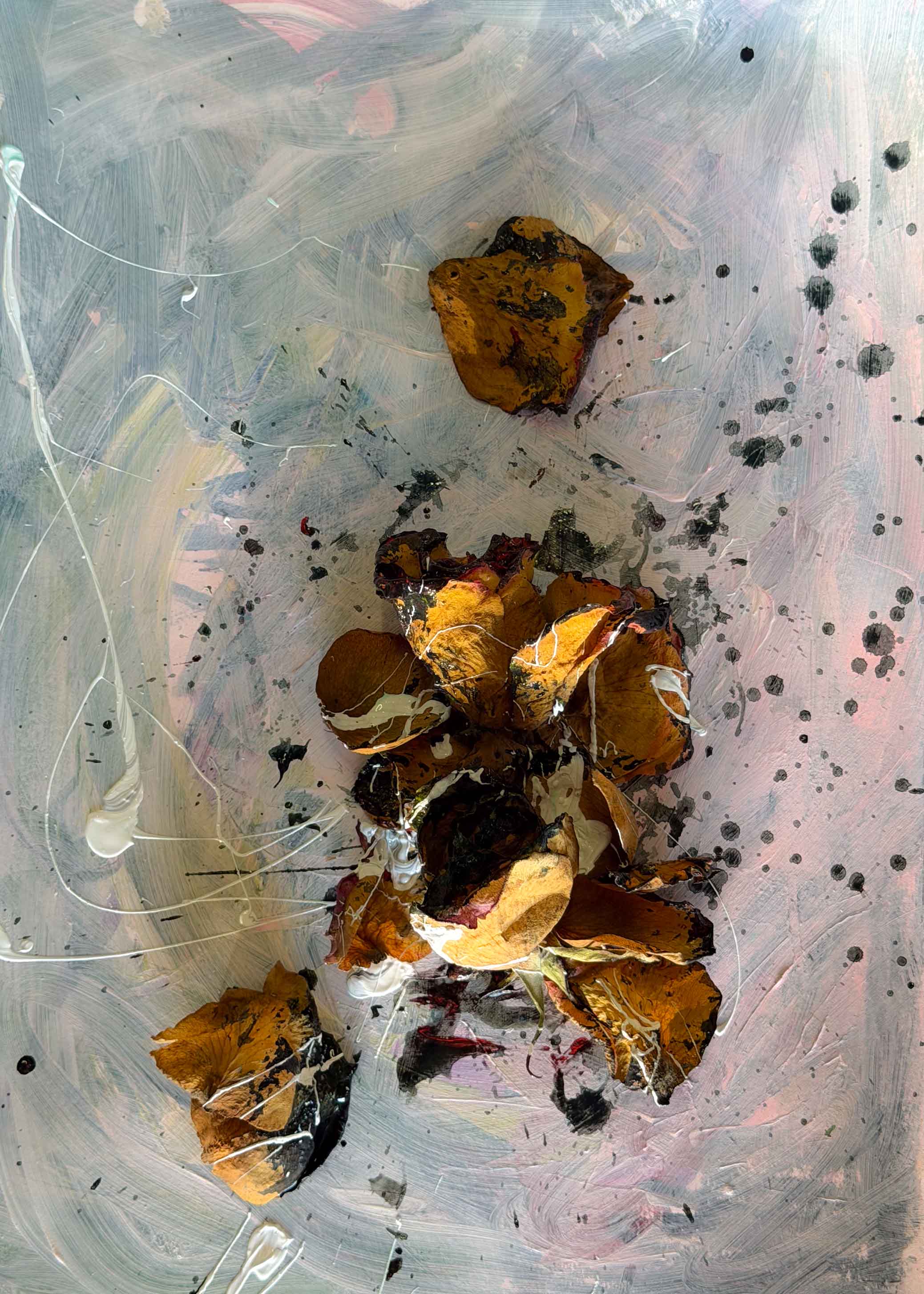 inscription ca83596e5a5324658526296151a5b0e1eec0f94225c7516623911b64f3cac4d2i0