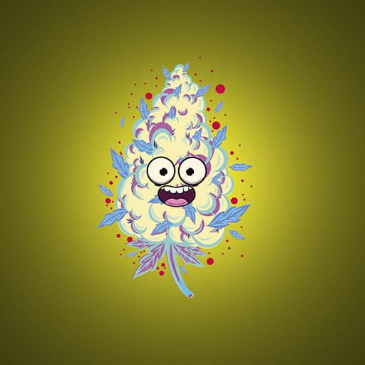 inscription dffba67d4e3eefdfb8ad3d7191a98217d7ef451a8e11cbf098e1dd46bff52698i0