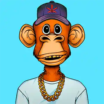 inscription ee06b467ec48db5cfda71dd1757e7de2efa3dd762c971863e5ba0460b6a6cfaai0